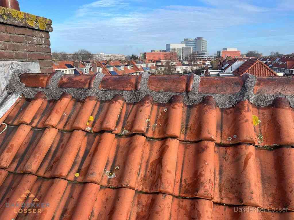 Losser Daken Renoveren Losser Daken Renoveren
